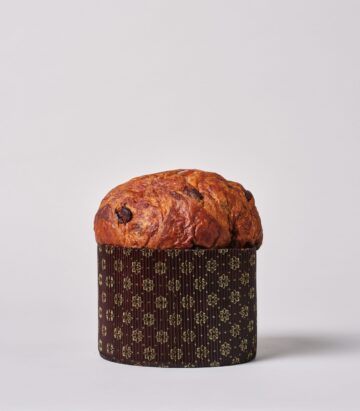 panettone-cioccolato-albicocca